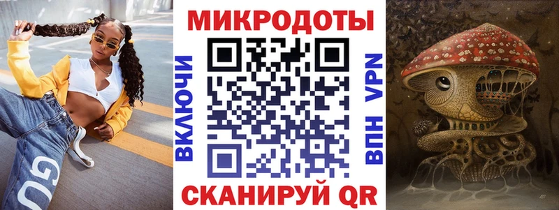 Галлюциногенные грибы Psilocybe  хочу наркоту  Гаврилов Посад 